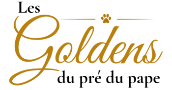 logo les goldens du pre du pape elevage canin de goldens retriever